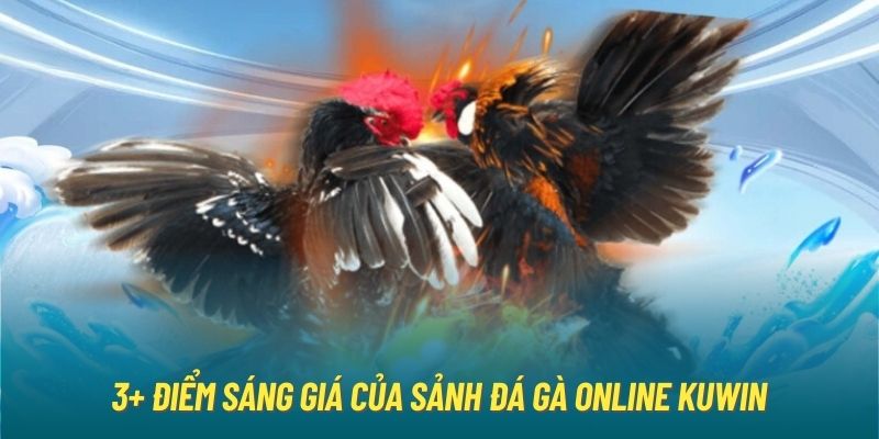 3+ điểm sáng giá của sảnh đá gà online KUWIN