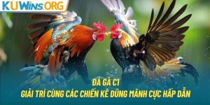 Đá Gà C1 - Giải Trí Cùng Các Chiến Kê Dũng Mãnh Cực Hấp Dẫn