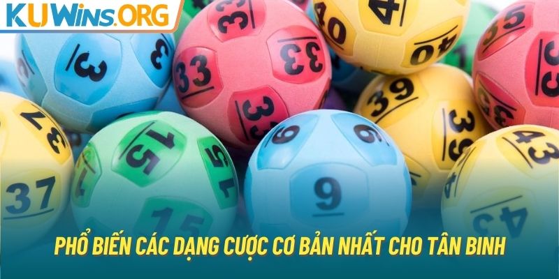 Phổ biến các dạng cược cơ bản nhất cho tân binh