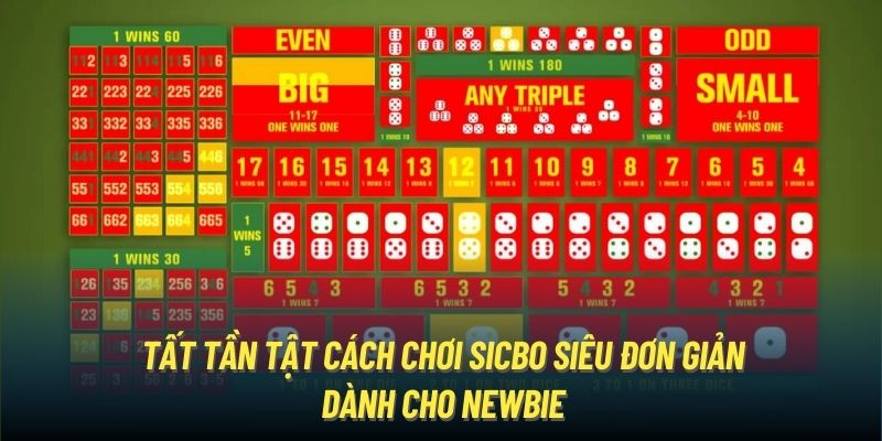 Tất tần tật cách chơi Sicbo siêu đơn giản dành cho newbie