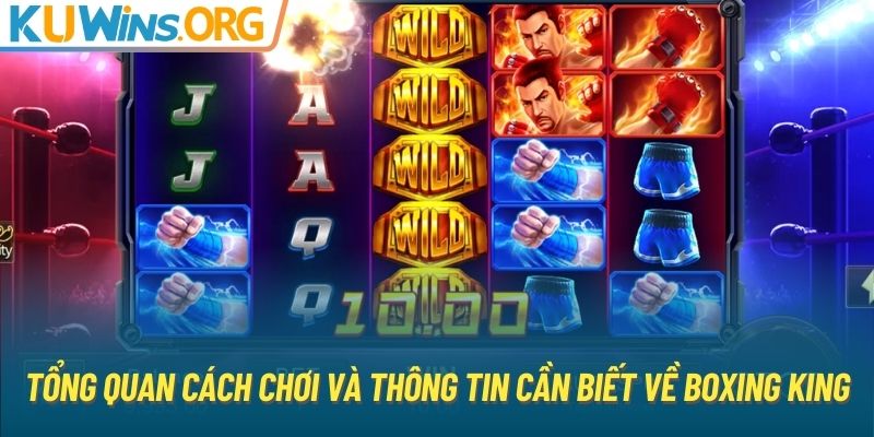 Tổng quan cách chơi và thông tin cần biết về Boxing King