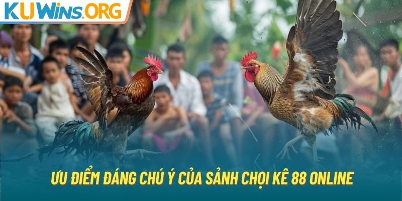 Ưu điểm đáng chú ý của sảnh chọi kê 88 online