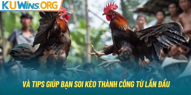 Và tips giúp bạn soi kèo thành công từ lần đầu